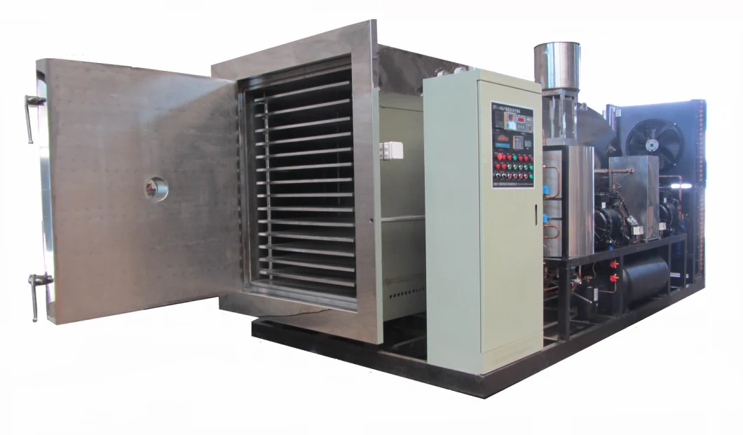 Marya Frozen Fruit Vegetable/ Pharmaceutical Vacuum Freeze Dryer