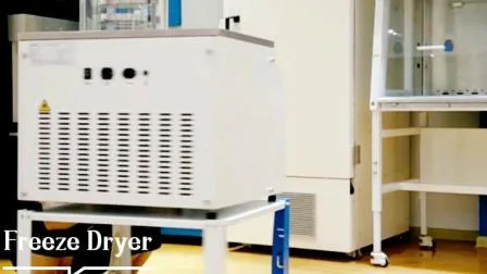 Hersteller von Biobase China Lab Pilot-Vakuum-Gefriertrocknungs- und Gefriertrocknungsgeräten